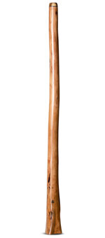 Wix Stix Opal Didgeridoo (WS223)